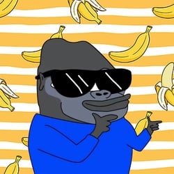 AGE OF APES